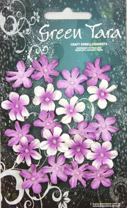 GREEN TARA Flowers - 20 Mini Flowers Lavender MFL